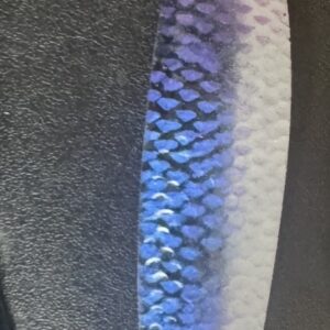 4” spoon Shad color silver back